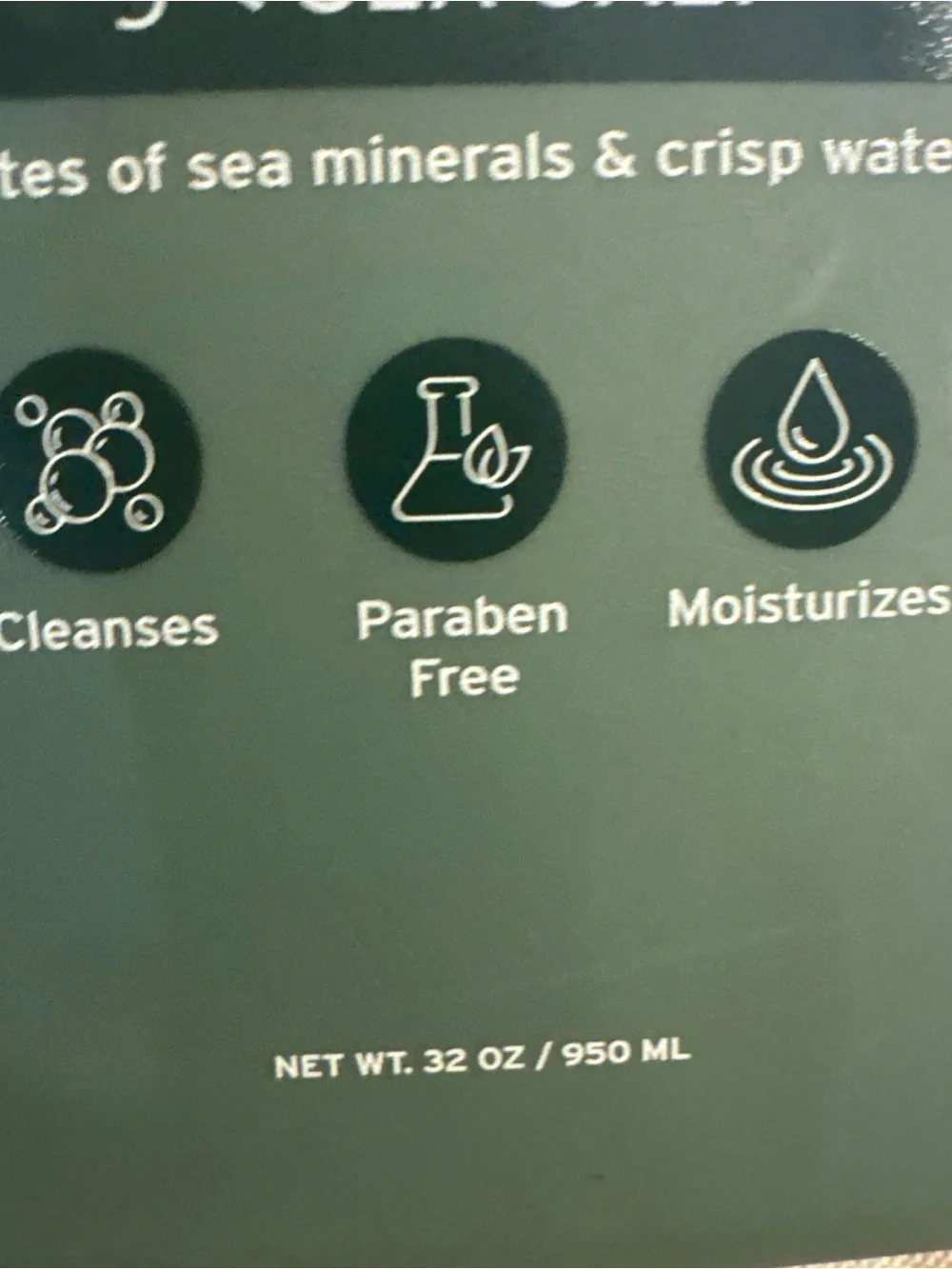Eddie Bauer Exfoliating Body Wash - Sea Salt - Sage Green